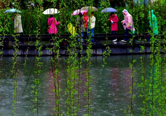 讚美春雨的詩句一起品讀詩詞裡的第一場春雨滿滿詩情畫意如夢似幻