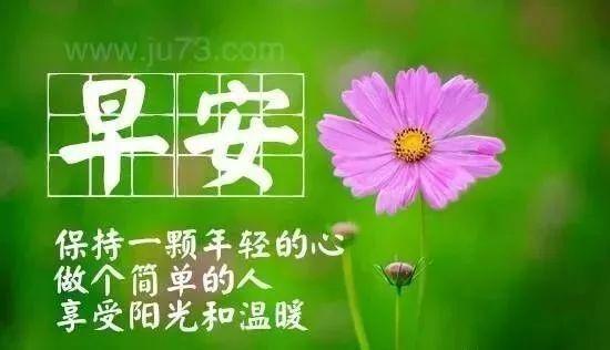 祝福老闆的話天冷了關心的早上好祝福語大全早上好表情包