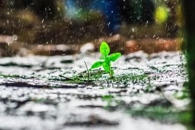 形容雨聲的詞語聽雨詩詞雨聲淅瀝你在思念誰