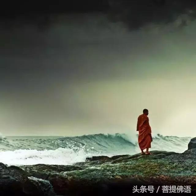 唯美佛語-十大經典唯美禪語 - 勵志人生